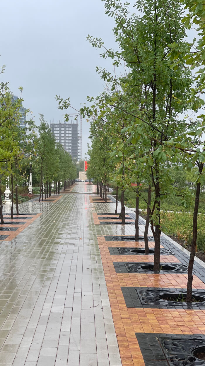 Приствольная решетка для дерева ZKING CRUST 1.2х1.2м Черная в Белогорске фото