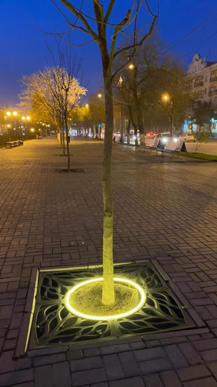 Приствольная решетка для дерева ZKING CRUST 1.2х1.2м Черная в Белогорске фото